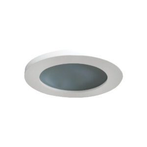 Downlight