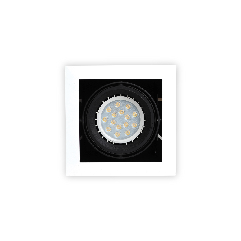 Maxi B1 Downlight Maxi-B1
