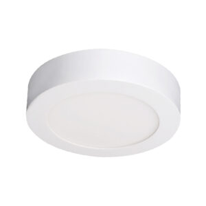 Downlight