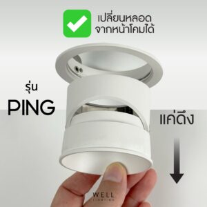 Ping - Image 3