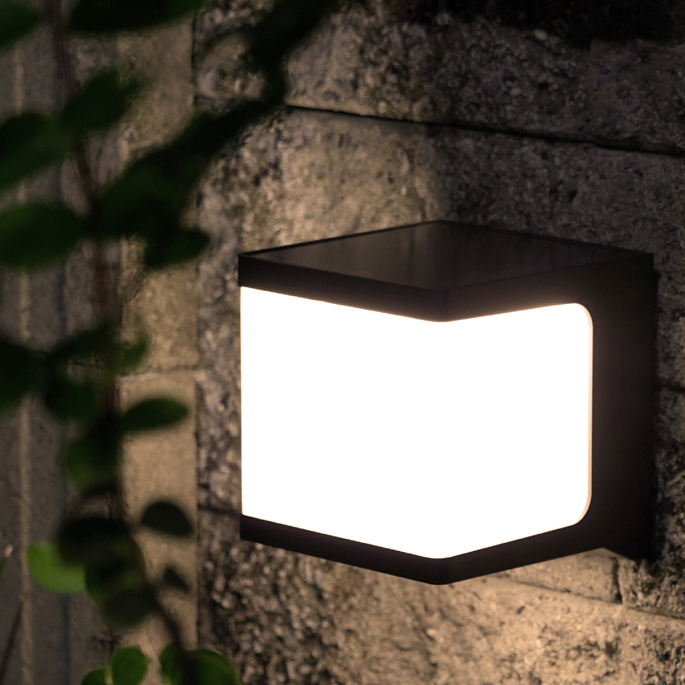 Square_08 Square