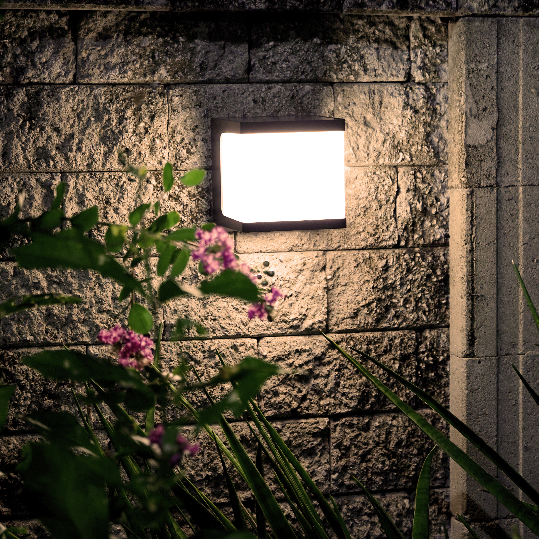 Square_09 Square