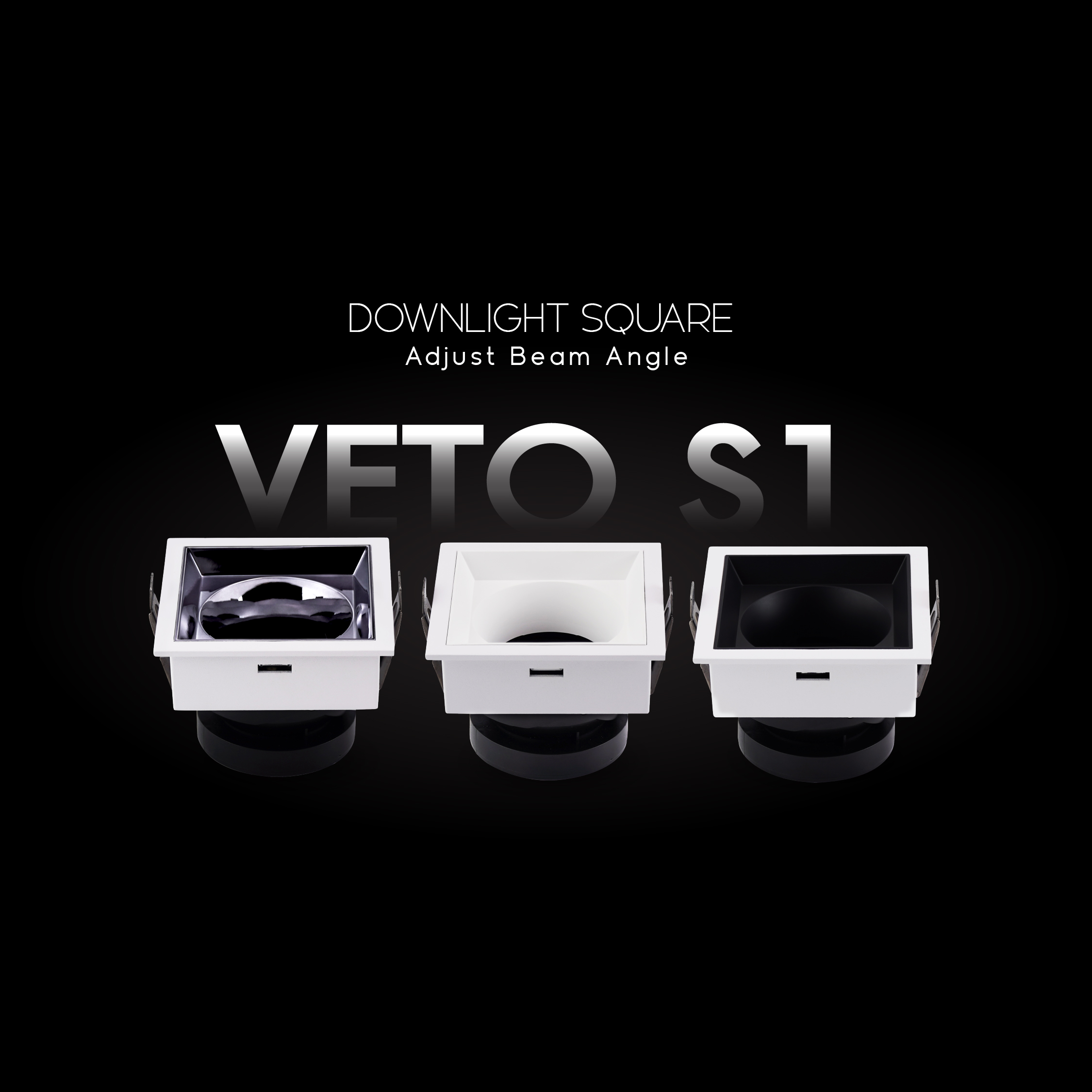 Veto S1_10 Veto S1